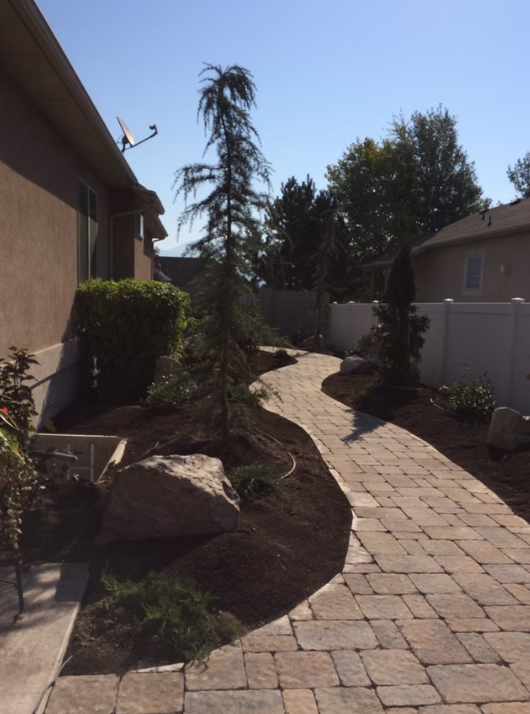 Landscape Project 1